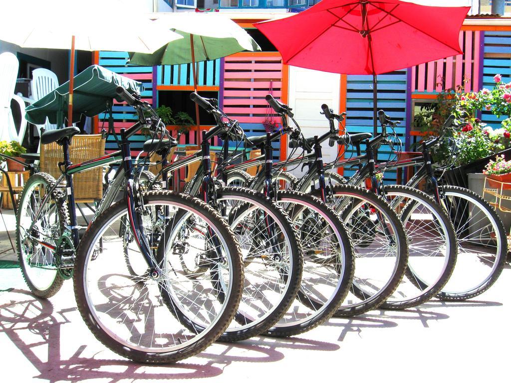 Street Garden Hostel Vina del Mar Exterior photo